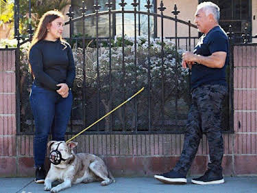 05:05: Cesar Millan: Better Human Better Dog - Bessere Menschen, bessere Hunde | Sixx | 6/14 2026