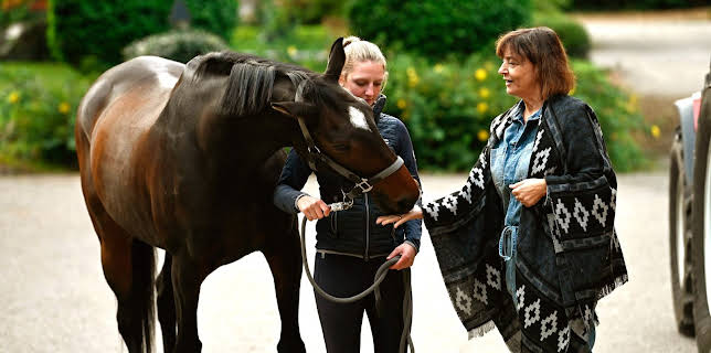 22:00: WaPo Bodensee | SWR Fernsehen RP | 12/4 2025