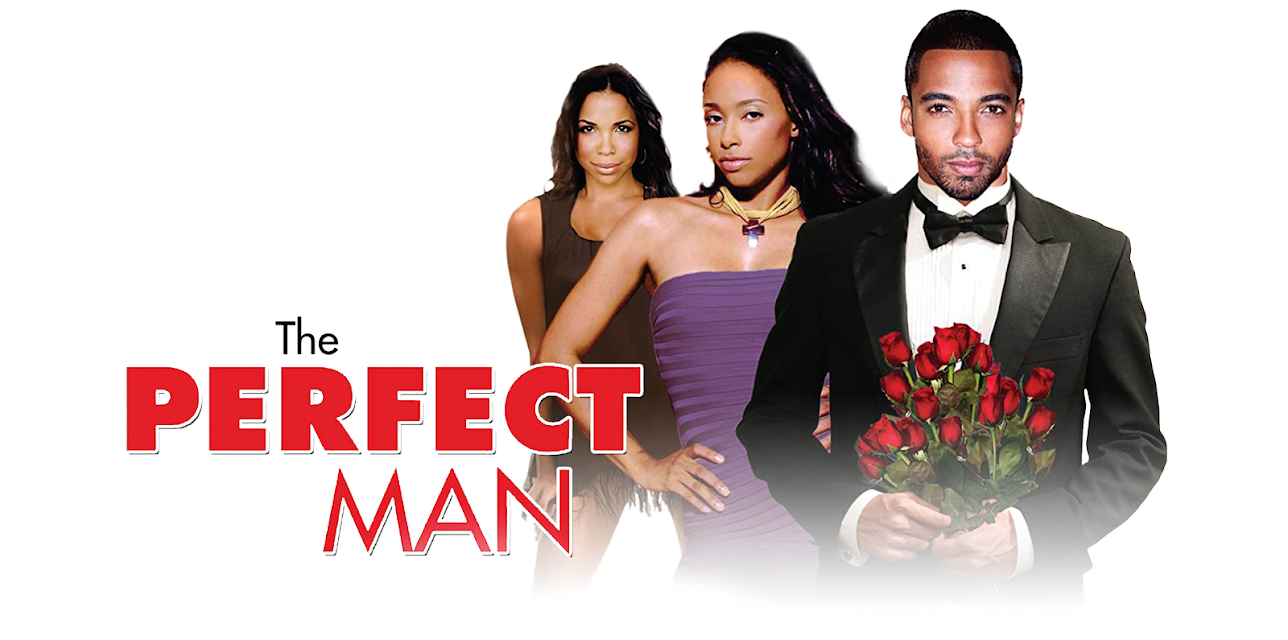 The Perfect Man (2011)