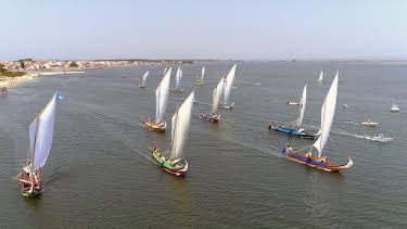 09:30: 360° Reportage | Arte | 3/28 2026