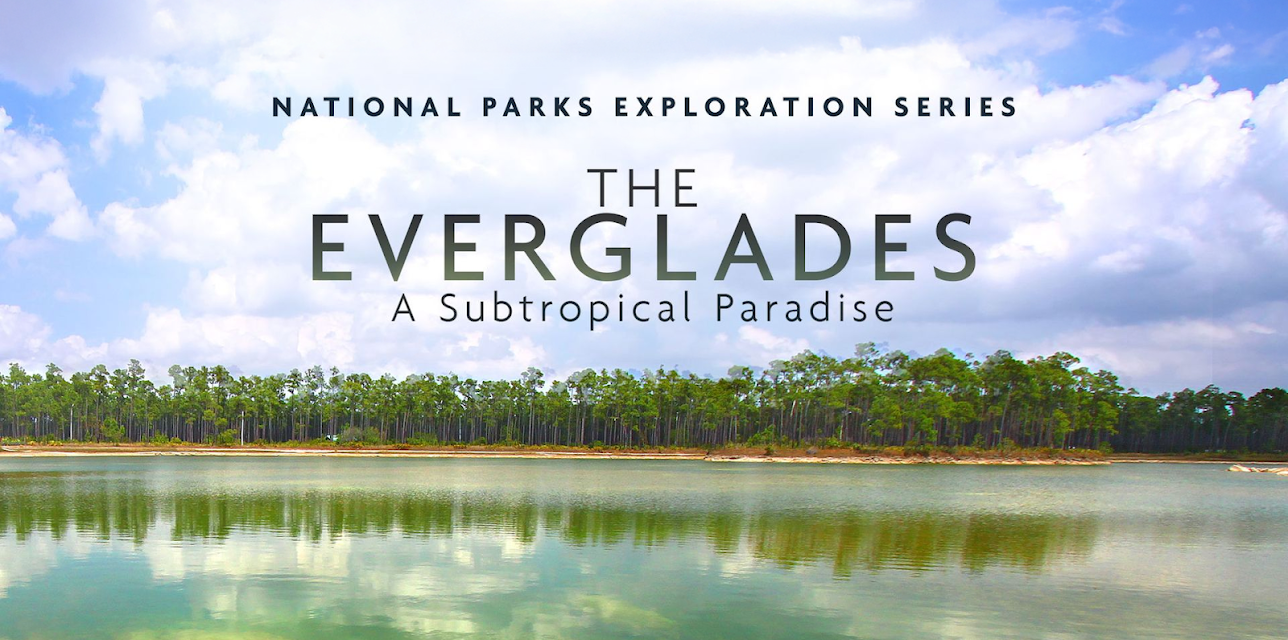 National Parks Exploration Series: The Everglades - A Subtropical Paradise (2013)