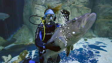 3:30 PM: Secrets of the Aquarium (S1) | BBC Two | 10/29 2026