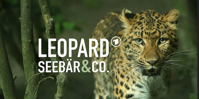 Leopard, Seebär & Co. (161)