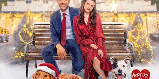 22:00: Puppy Love for Christmas | TV6 | 11/21 2025