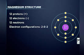 Understanding the Periodic Table: Magnesium, Calcium, and the Alkaline Earths