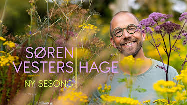 08:00: Søren Vesters hage: Rips og håndstående | NRK 2 | 5/24 2026