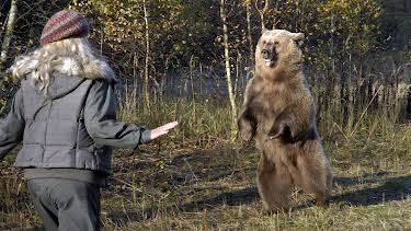 13:50: Tierärztin Dr. Mertens (S03/E06) | One | 4/13 2026