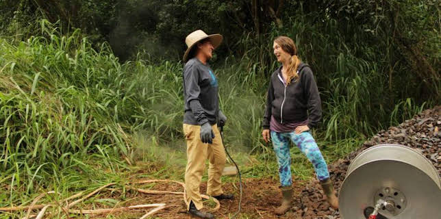 5:00 PM: Homestead Rescue (S4) | Discovery Channel | 3/17 2026