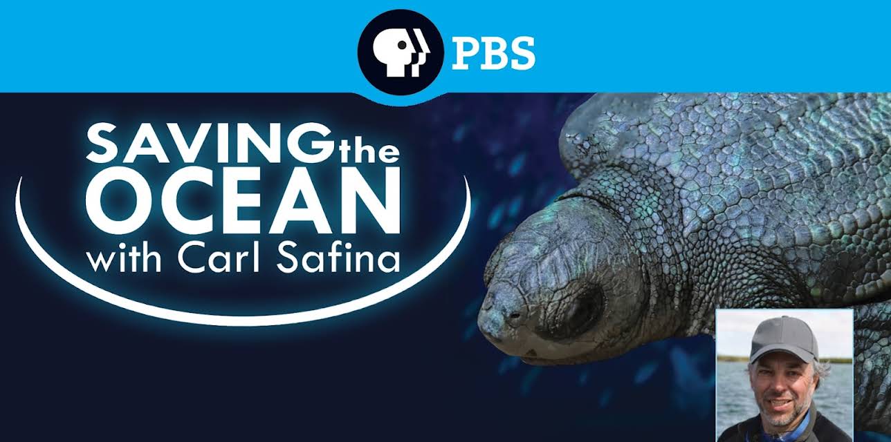 Saving the Ocean with Carl Safina