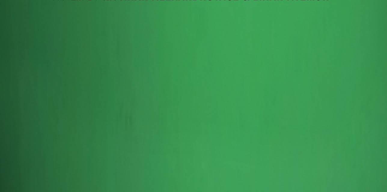 The Law in These Parts (2012)