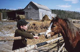 Pit Pony: Ep 1 - The Light to The Future