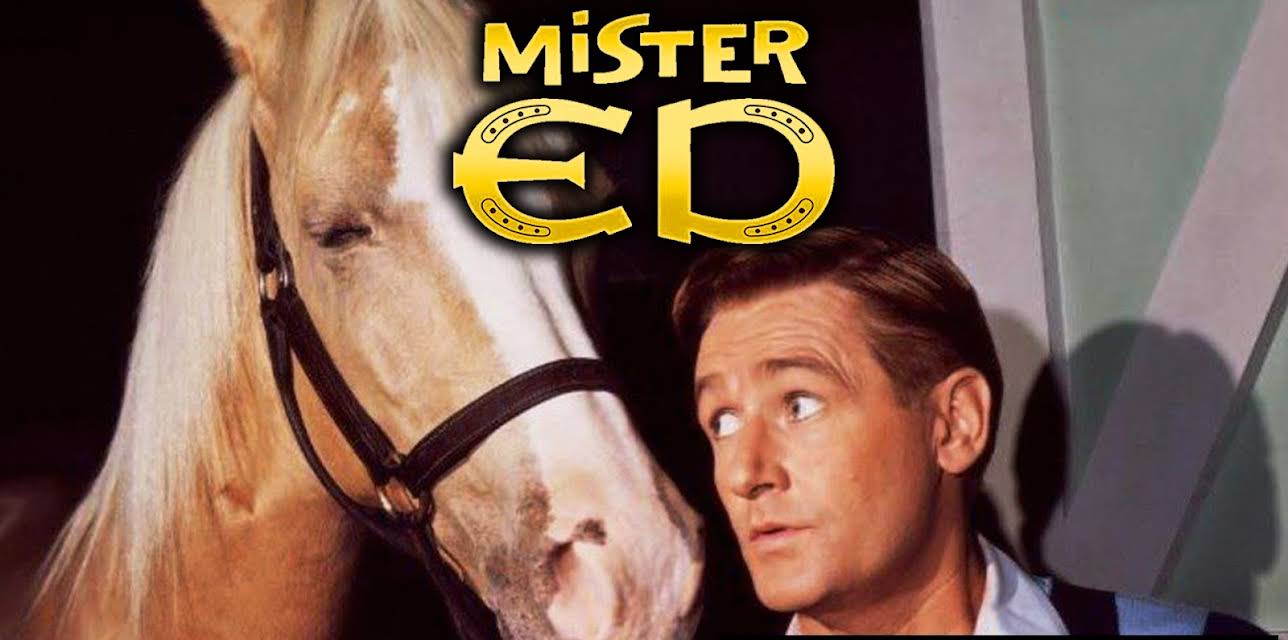 Mister Ed - The Lost episode (1961)