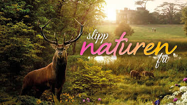 21:40: Slipp naturen fri | NRK 1 | 10/21 2026