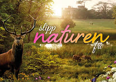 Slipp naturen fri