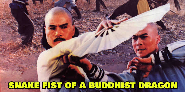 Snake Fist of a Buddhist Dragon (2002)