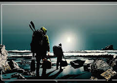 Cannabis Cove: Operation Seal Bay