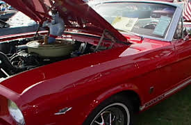 A CARography: A Carography: Mustang