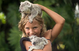 Dodo Heroes: Pen And The Dogs Of War