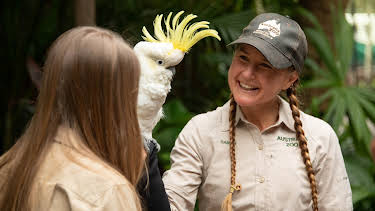 07:00: Crikey! It's the Irwins (S2 E7) (S2) | Animal Planet | 1/5 2026