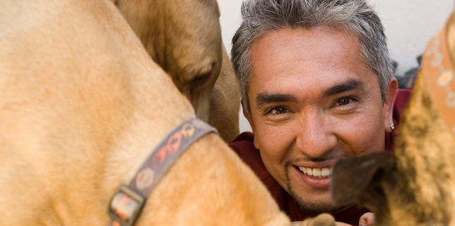 Dog Whisperer with Cesar Millan