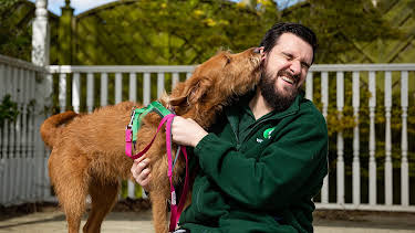 8:00 PM: The Dog House | Channel 4 | 8/25 2026