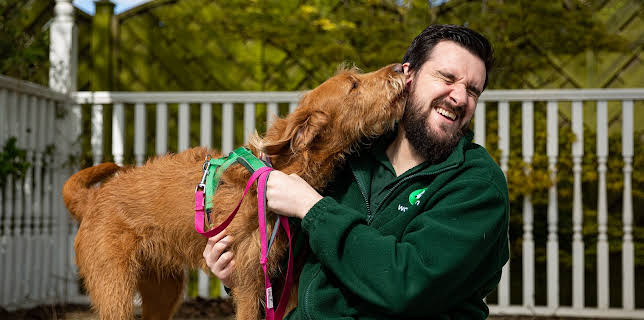 2:20 PM: The Dog House | Channel 4 | 2/1 2026