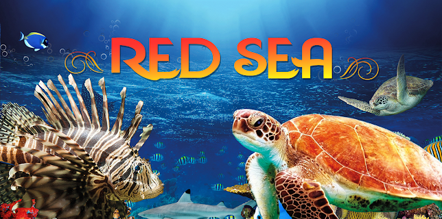 Red Sea (2016)
