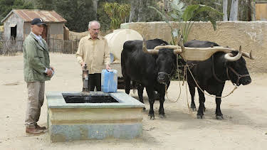 19:20: Navy CIS | Kabel Eins | 4/11 2026