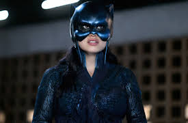 Stargirl: Wildcat
