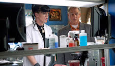 NCIS (S8 E19)