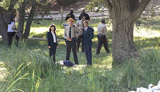 The Mentalist (S6 E3)