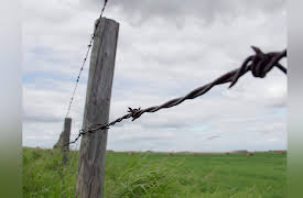 Rawhide: Back to Basics