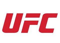 UFC 217: Bisping vs St-Pierre (T2017): Michael Bisping vs Georges St-Pierre