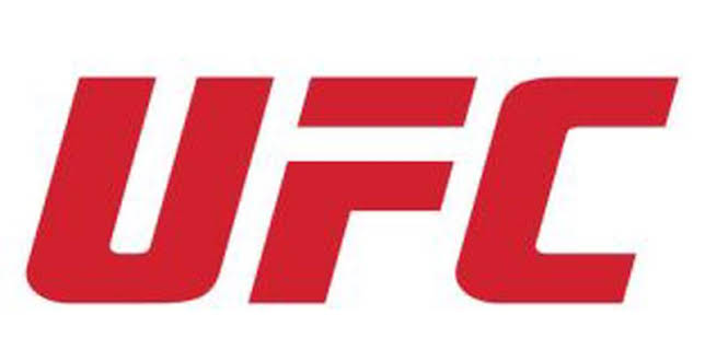 UFC 217: Bisping vs St-Pierre (T2017): Michael Bisping vs Georges St-Pierre