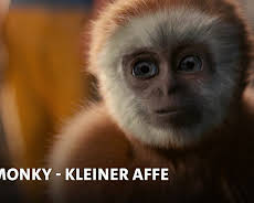 Monky - Kleiner Affe, großer Trost