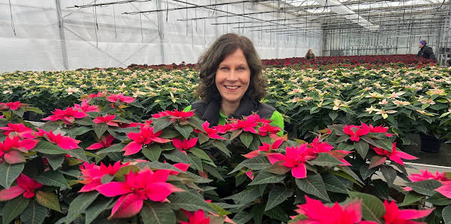 15:30: Weihnachtssterne - Adventsdekoration aus den Tropen | ZDF | 11/30 2025