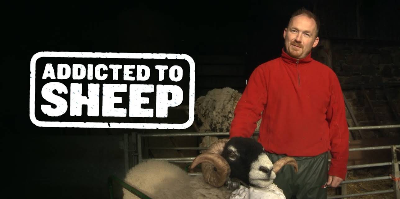 Addicted to Sheep (2017)