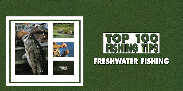 Top 100 Fishing Tips - Freshwater Fishing (2026)