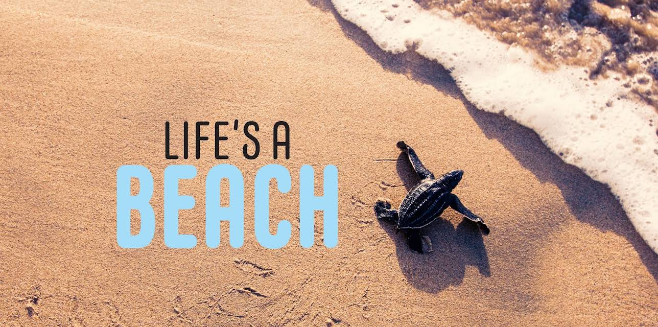 Life’s a Beach (2020)