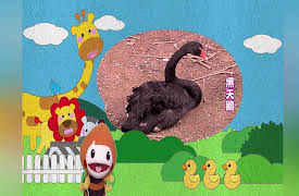 Momo Meets Animals, Season 1: Momo Meets Animals, Season 1, Episode 5