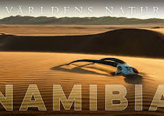 Världens natur: Namibia