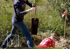 Corella, una apuesta por el futuro