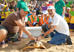 Malta: The Jewel of the Med