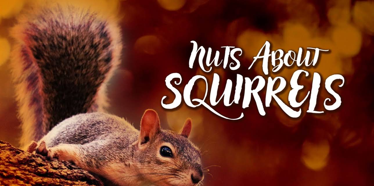 Nuts About Squirrels (2021)