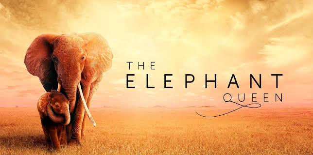 The Elephant Queen (2019)