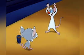 Steven Spielberg Presents Pinky and the Brain: The Complete First Volume: It's Only a Paper World