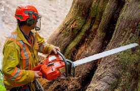 The Last Woodsmen, Season 1: Broken Limbs