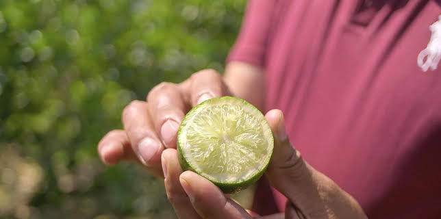 11:05: Die Welt der Zitrusfrüchte | Arte | 1/11 2026