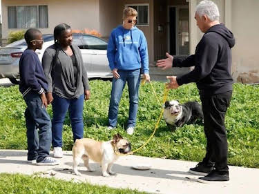 16:35: Cesar Millan: Better Human Better Dog - Bessere Menschen, bessere Hunde | Sixx | 5/10 2026