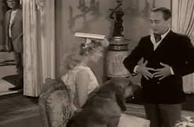 The Beverly Hillbillies: Pygamilion and Elly